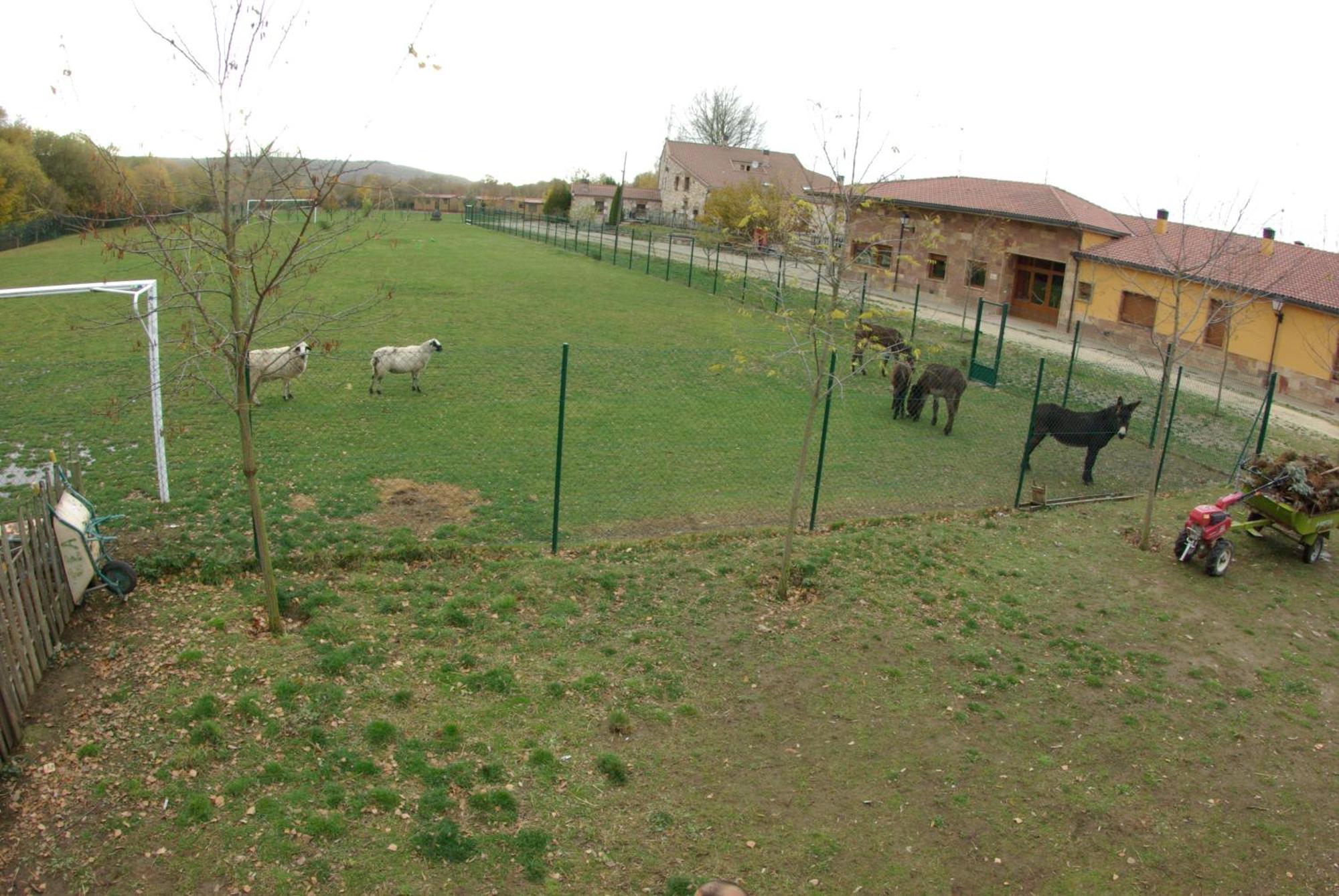 Bungalows Granja Escuela Arlanzón Extérieur photo